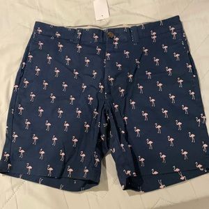 BRAND NEW JCREW Shorts